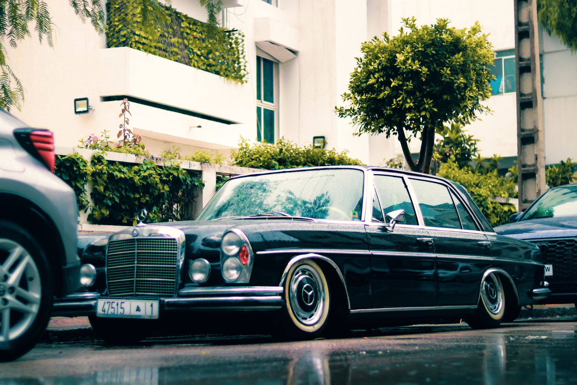 Mercedes W123 (1982) — Kézi polírozás, viaszos védelem